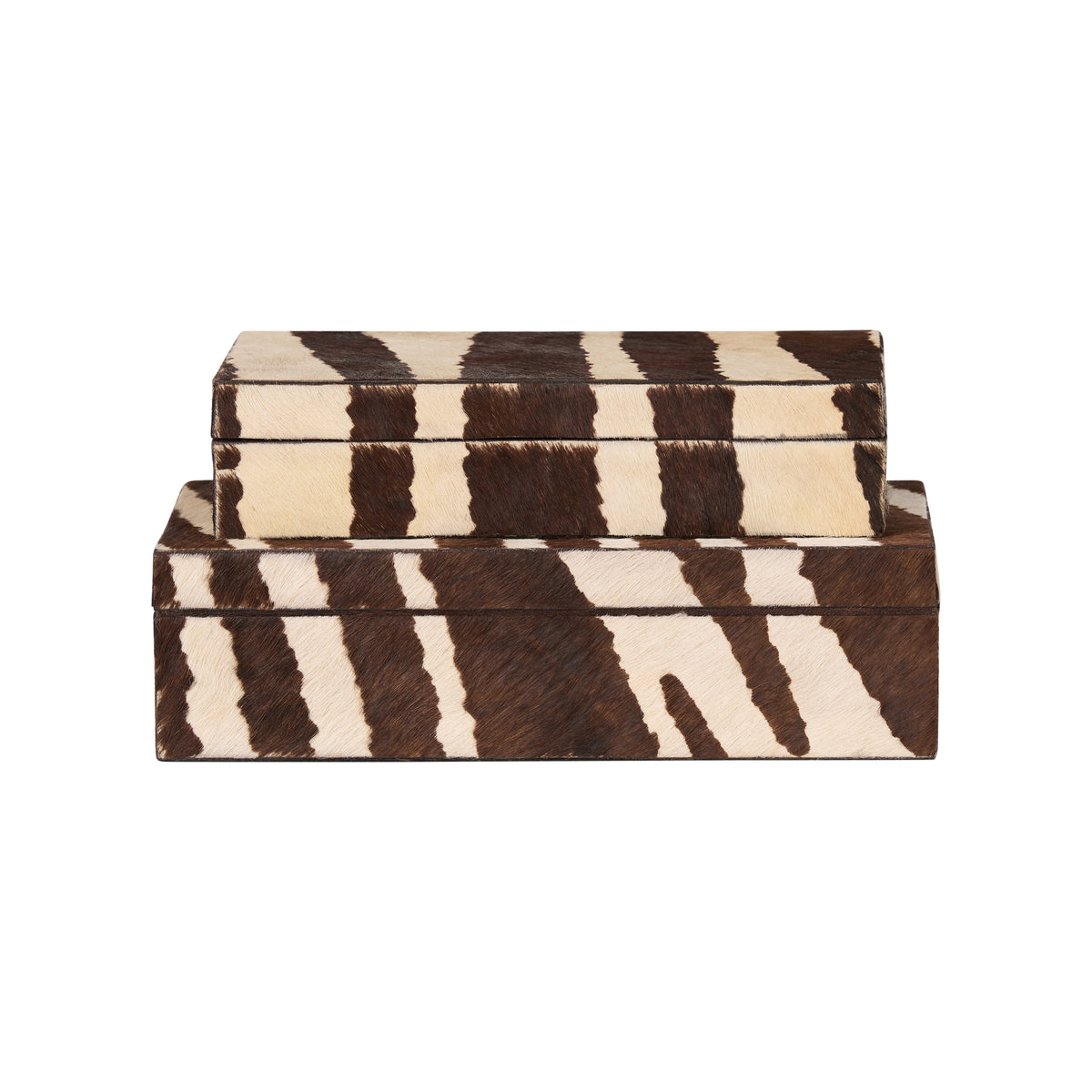 Zebra Boxes (S2) - C11219