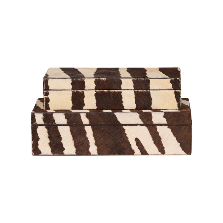 Zebra Boxes (S2) - C11219