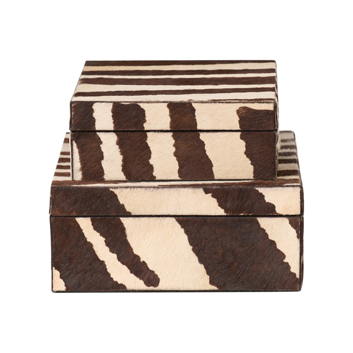Zebra Boxes (S2) - C11219
