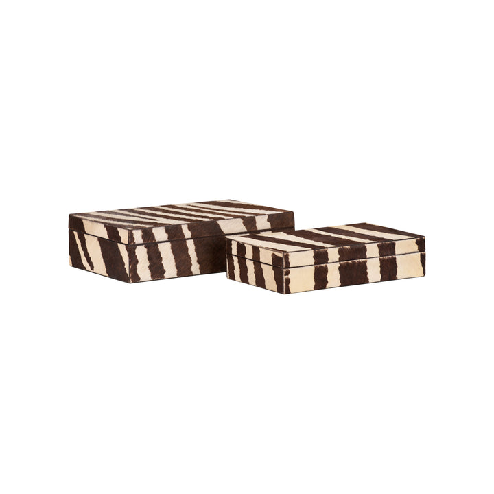 Zebra Boxes (S2) - C11219