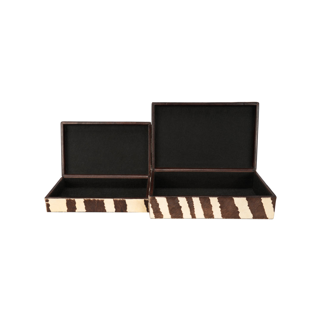 Zebra Boxes (S2) - C11219