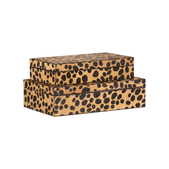 Leopard Boxes (S2) - C11220