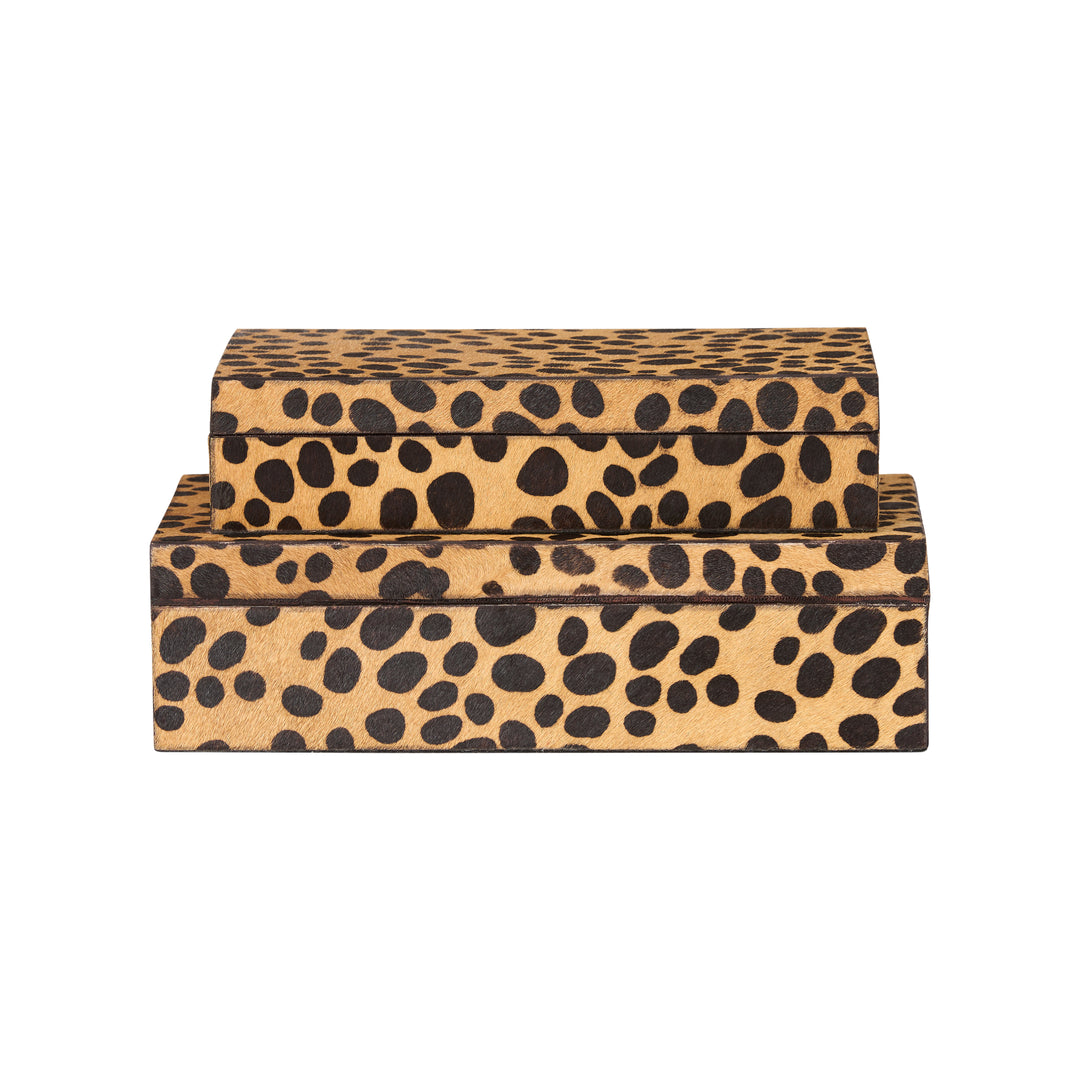 Leopard Boxes (S2) - C11220