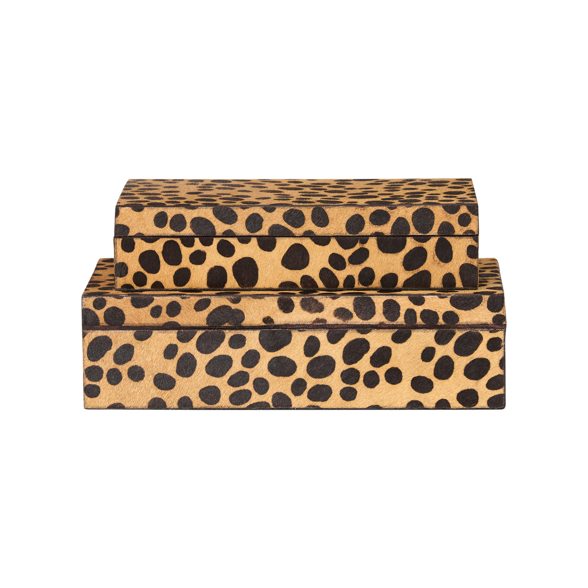 Leopard Boxes (S2) - C11220