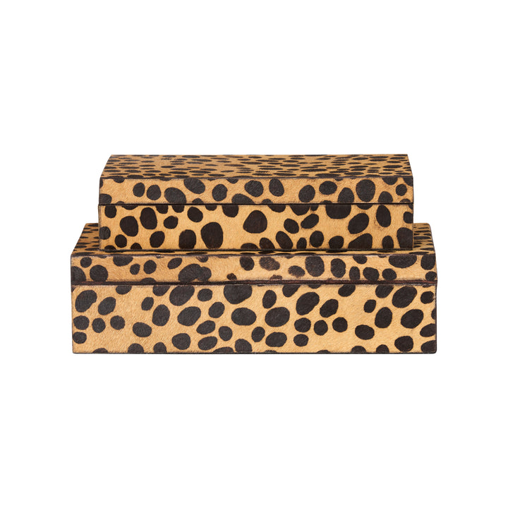 Leopard Boxes (S2) - C11220