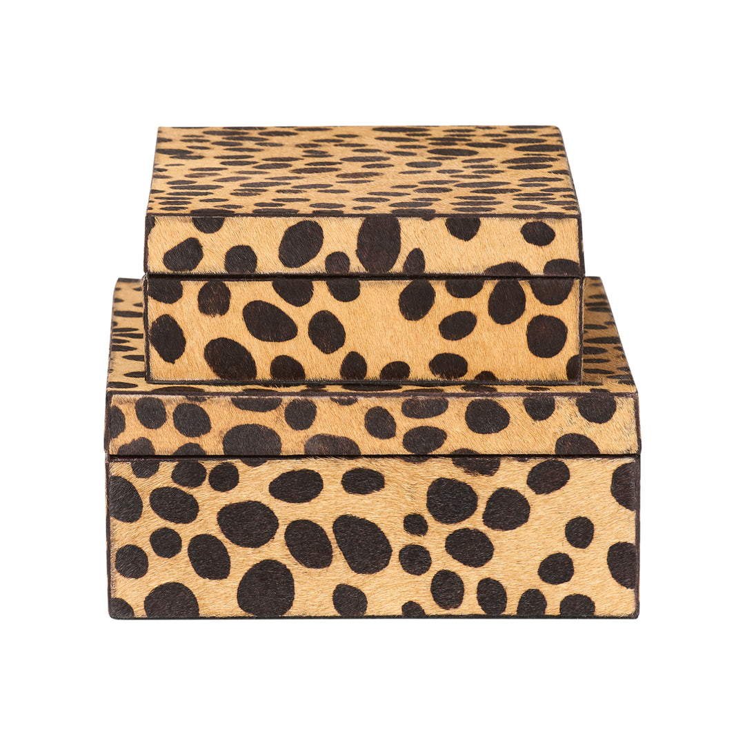Leopard Boxes (S2) - C11220