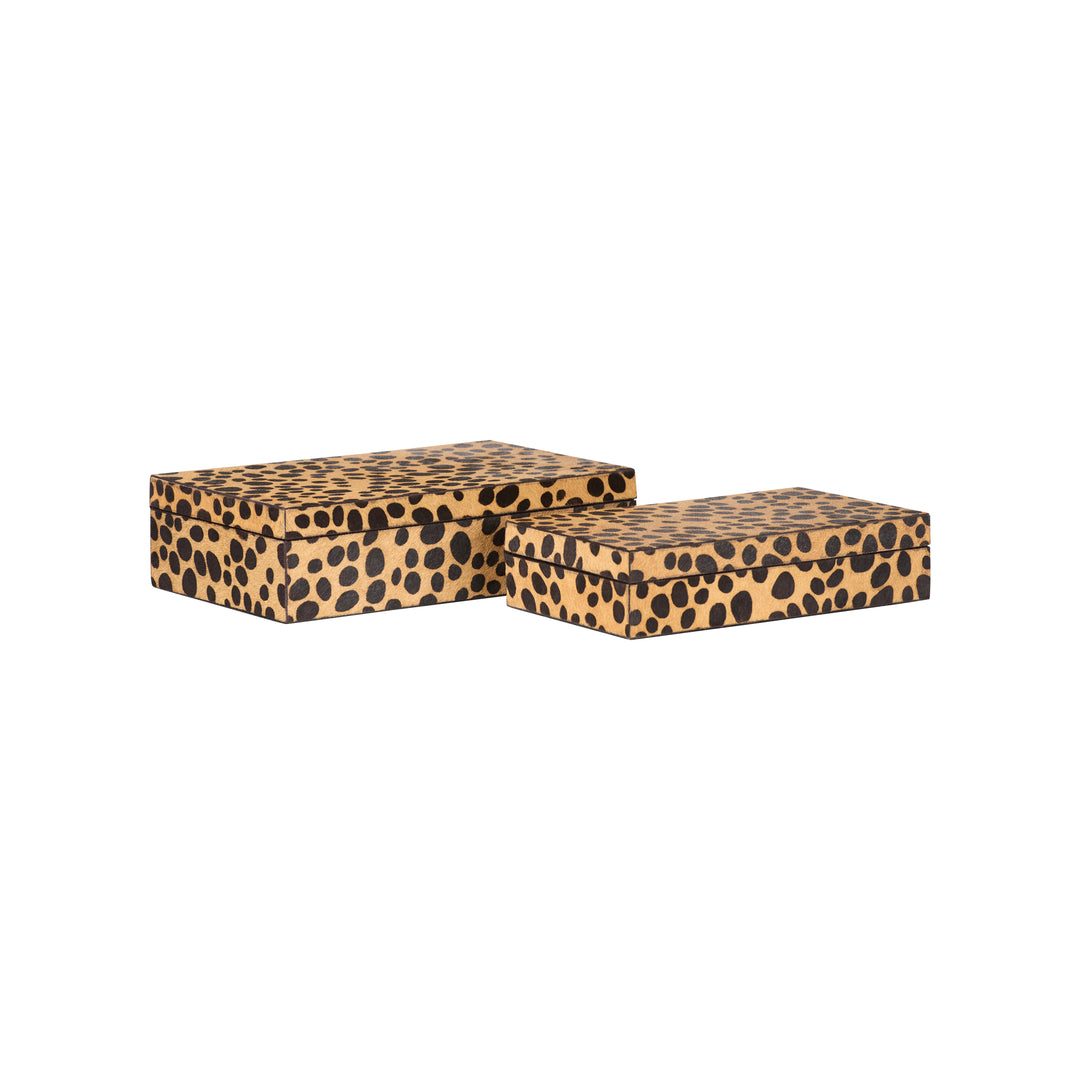 Leopard Boxes (S2) - C11220