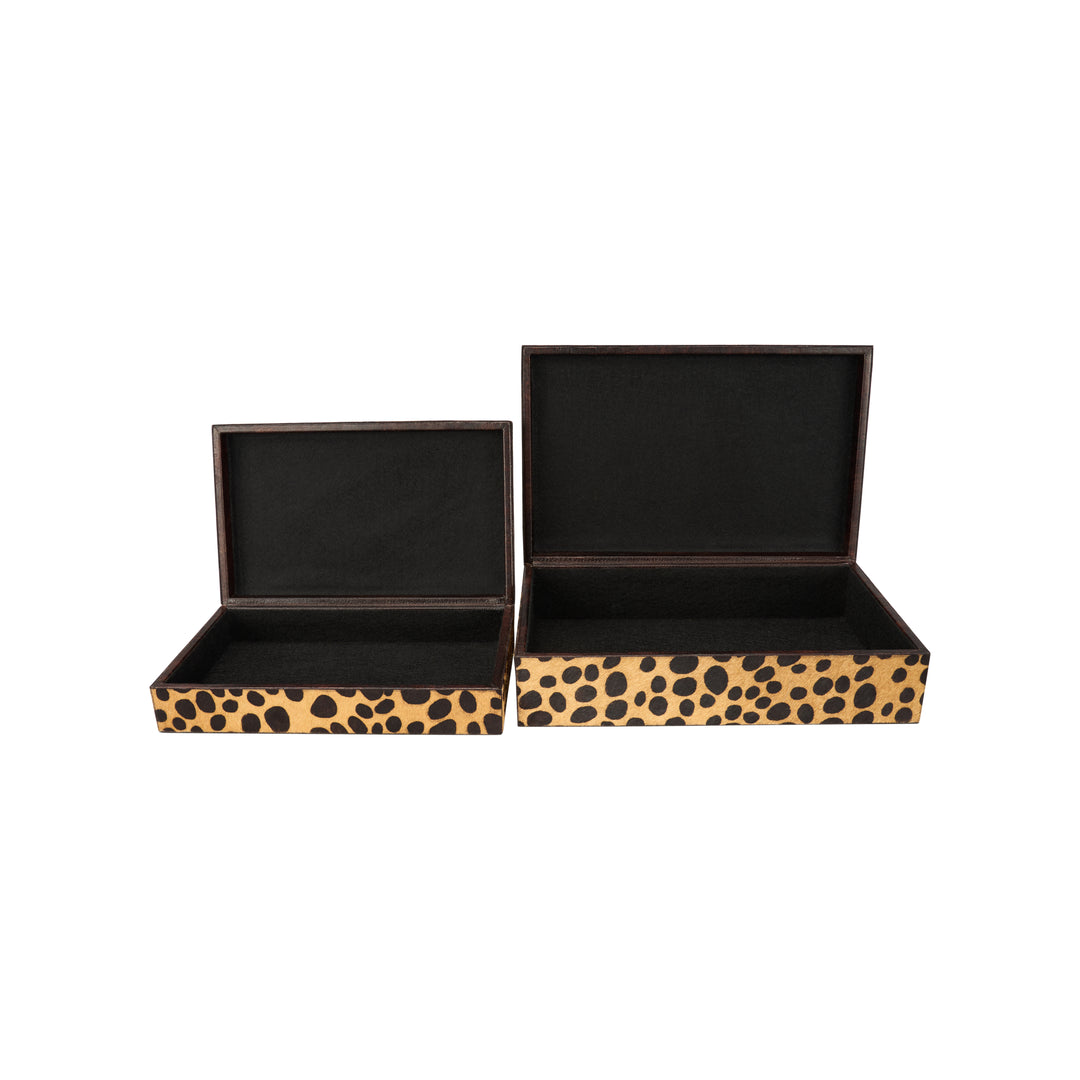 Leopard Boxes (S2) - C11220