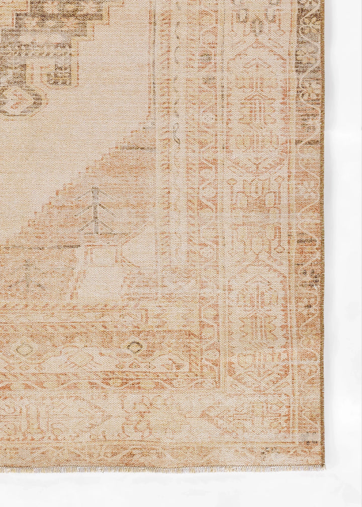 American Home Furniture Momeni Chandler 9 Rug