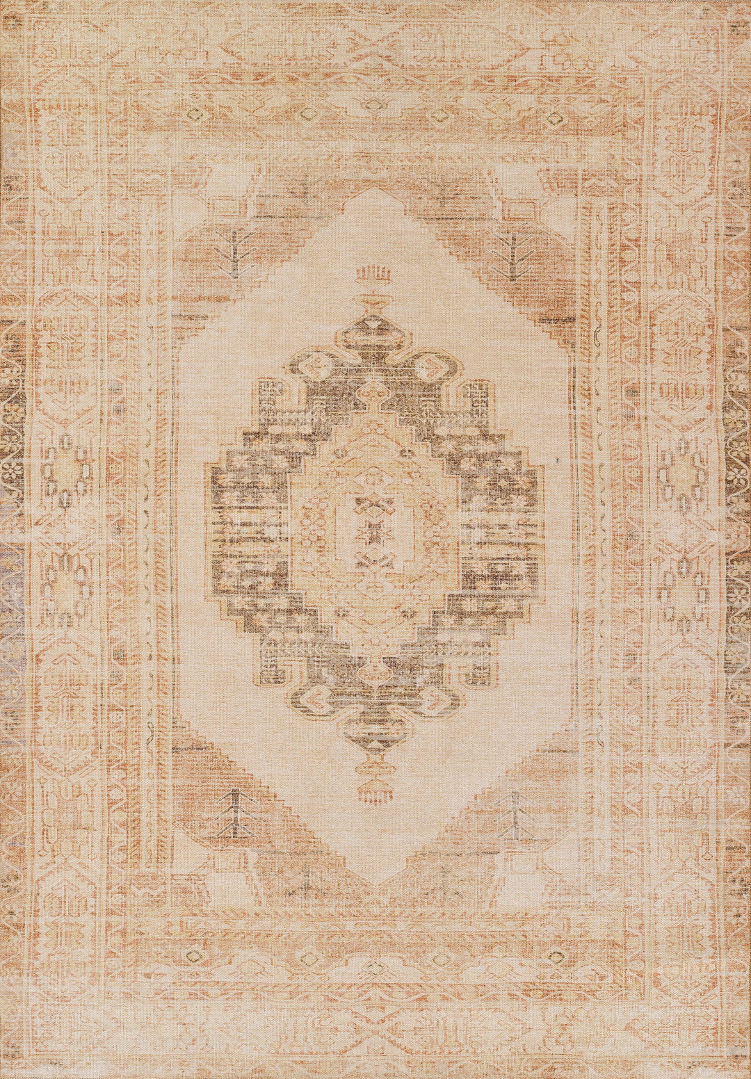American Home Furniture Momeni Chandler 9 Rug