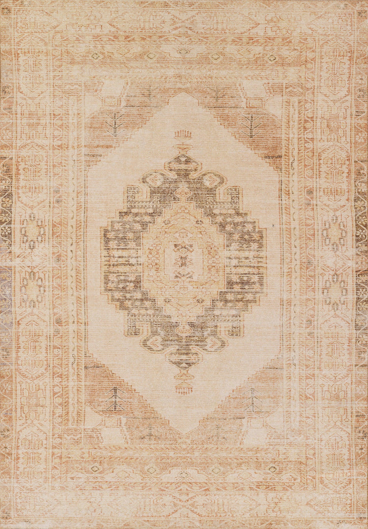 American Home Furniture Momeni Chandler 9 Rug