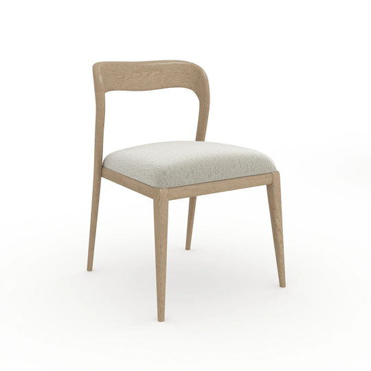 Caracole - Rhythm Side Chair - CLA-425V-281 | American Home Furniture