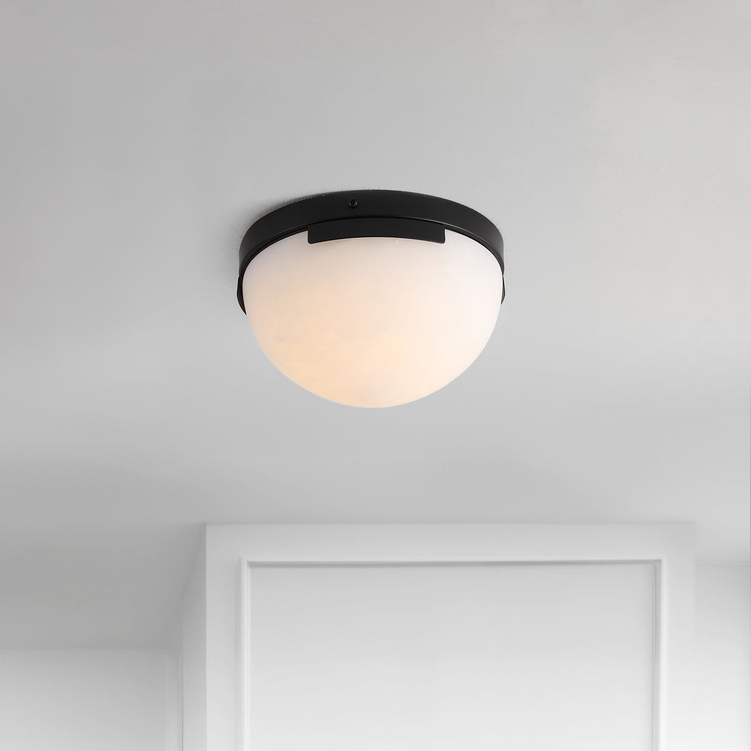 8"W x 8"D x 4.8"H / Black/Off White