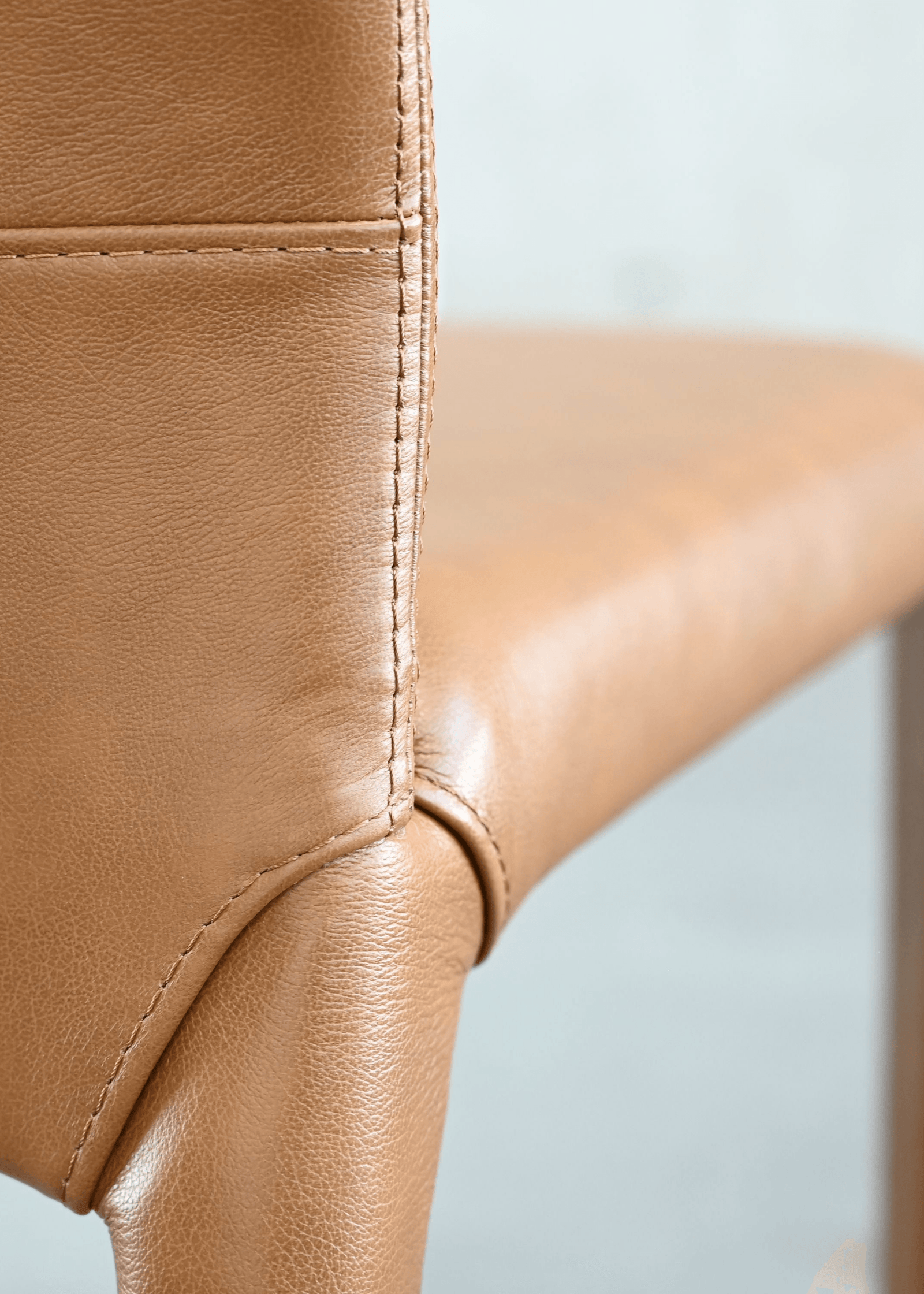 Mobital ZEG Dining Chair - Set Of 2 DINING CHAIRS