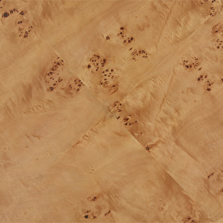 Pauletta Coffee Table Burl — Detail 1