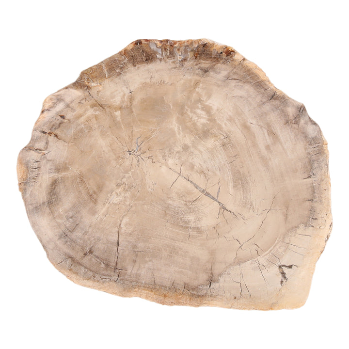 Basila Tray Light Natural — Overhead