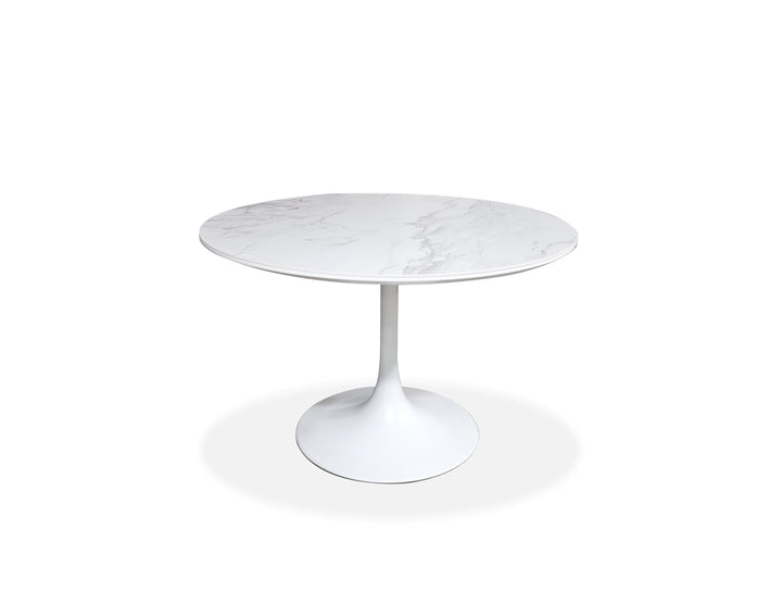 Carrara White Ceramic Top