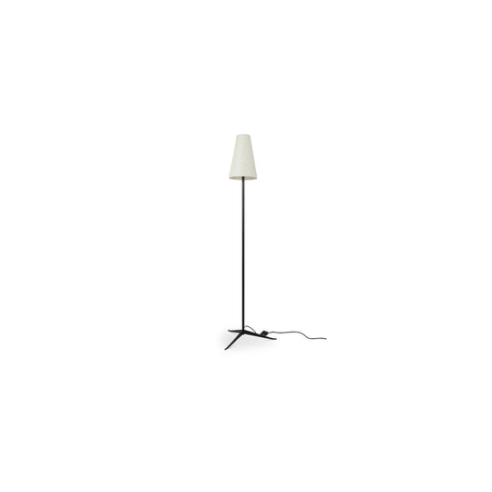 American Home Furniture Moe's Home Collection Mathis Floor Lamp