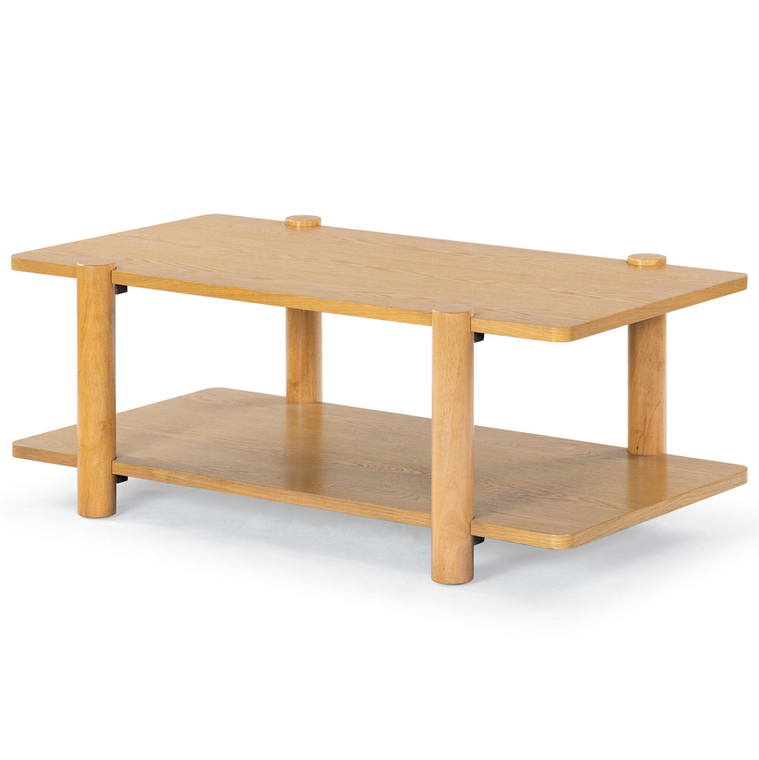 Edisyn 2 Shelf Wood Coffee Table