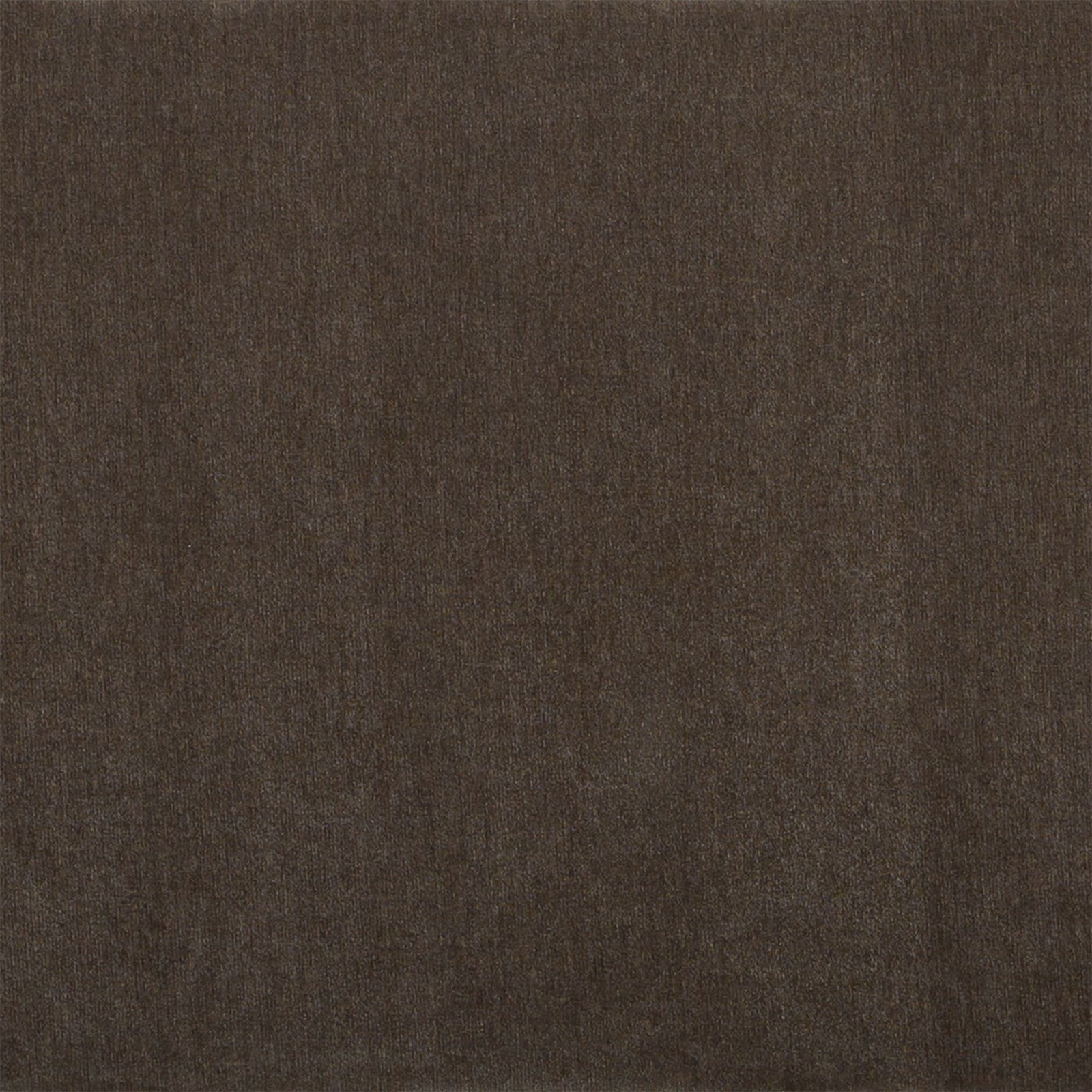 Kiran Sleeper Sofa Warm Charcoal