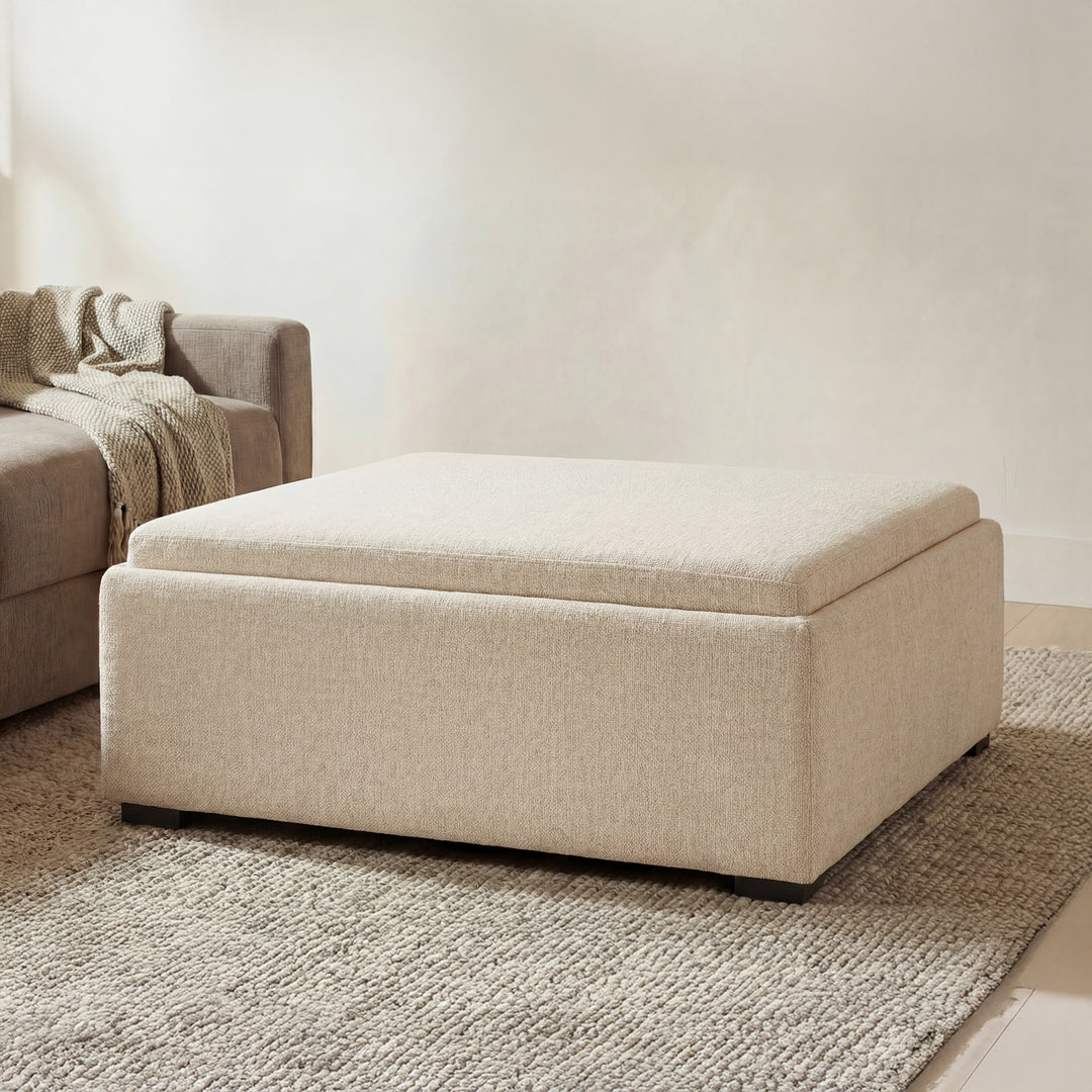 American Home Furniture Moe's Home Collection Montana Storage Ottoman