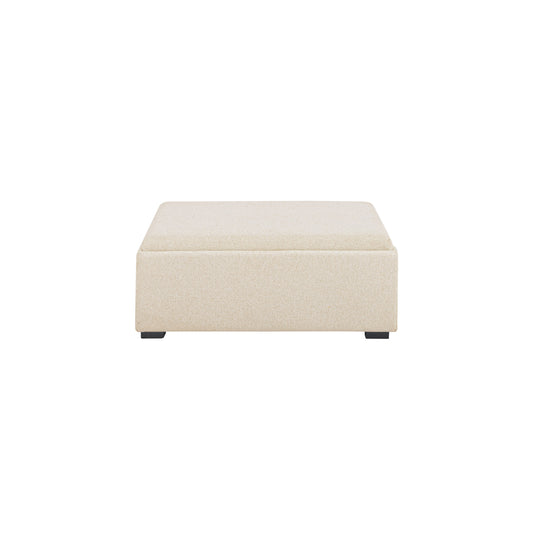 American Home Furniture Moe's Home Collection Montana Storage Ottoman