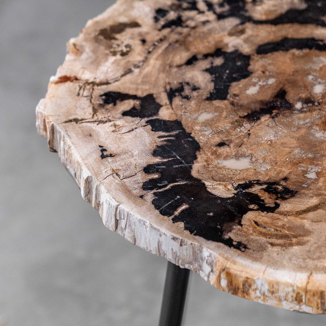 American Home Furniture Uttermost Mircea Petrified Wood Accent Table