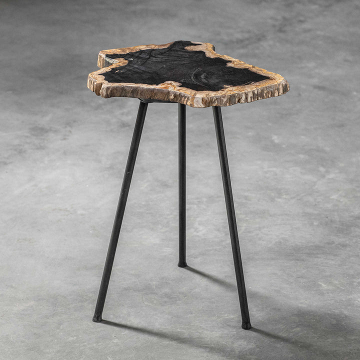 American Home Furniture Uttermost Mircea Petrified Wood Accent Table