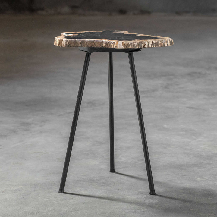 American Home Furniture Uttermost Mircea Petrified Wood Accent Table