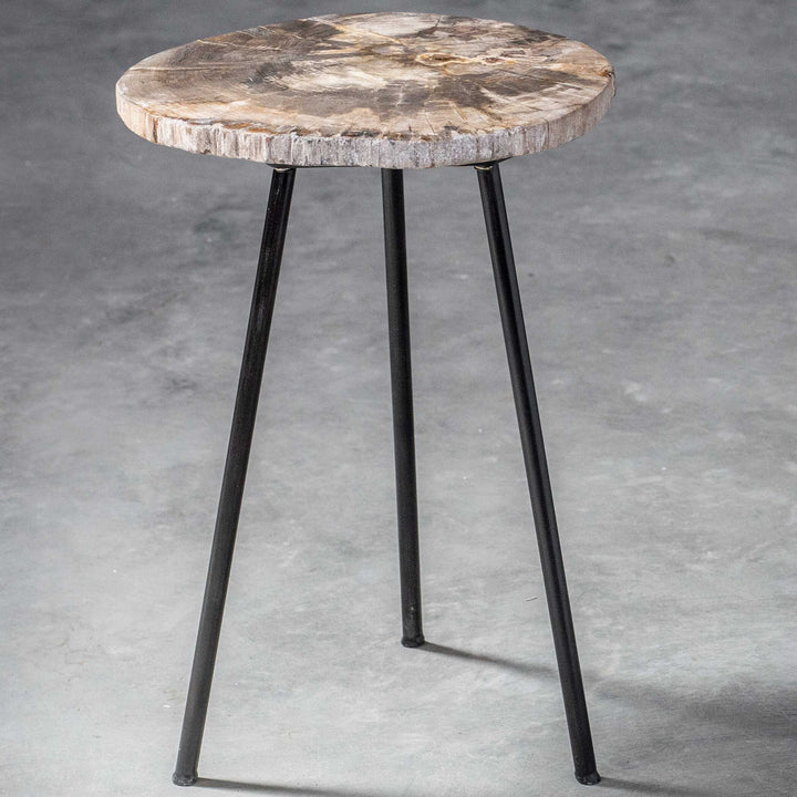 American Home Furniture Uttermost Mircea Petrified Wood Accent Table