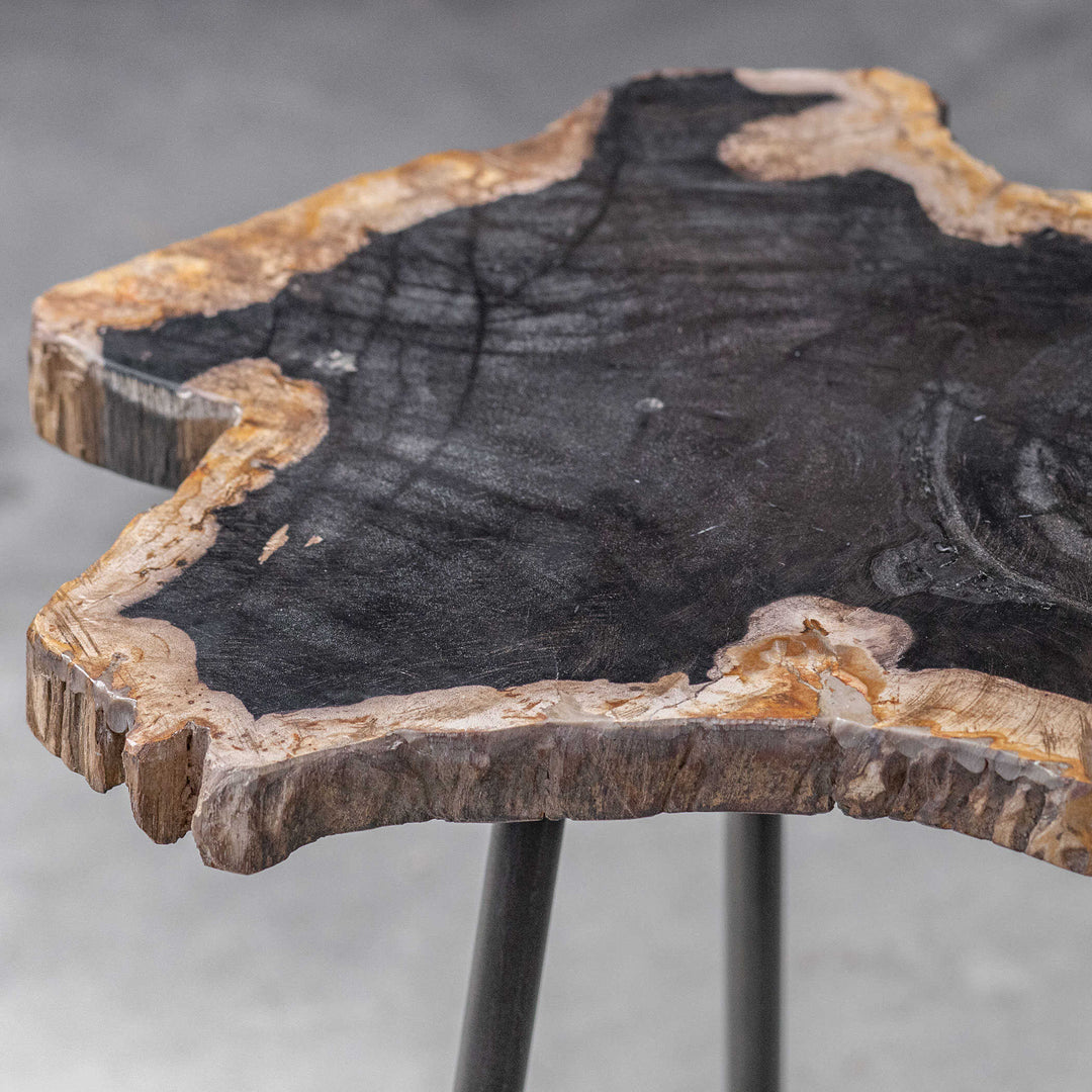American Home Furniture Uttermost Mircea Petrified Wood Accent Table