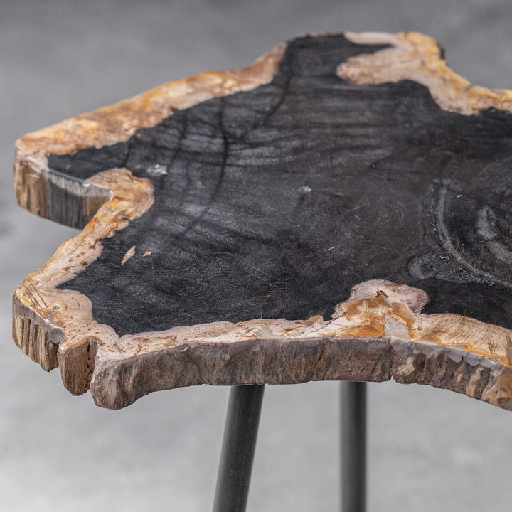 American Home Furniture Uttermost Mircea Petrified Wood Accent Table