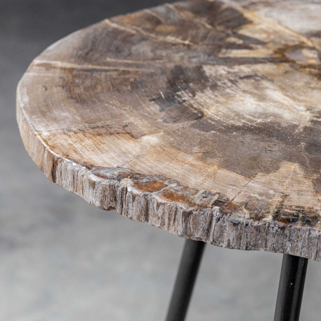 American Home Furniture Uttermost Mircea Petrified Wood Accent Table