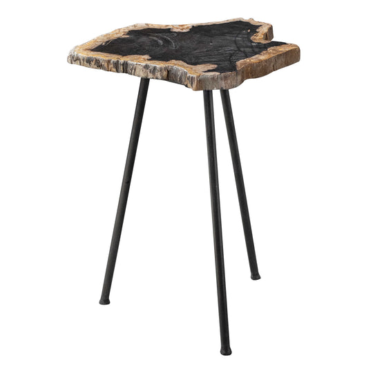 American Home Furniture Uttermost Mircea Petrified Wood Accent Table
