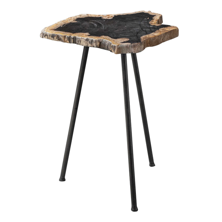 American Home Furniture Uttermost Mircea Petrified Wood Accent Table
