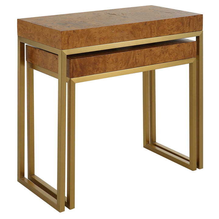 American Home Furniture Uttermost Burl-esque Wooden Nesting Tables Set of 2