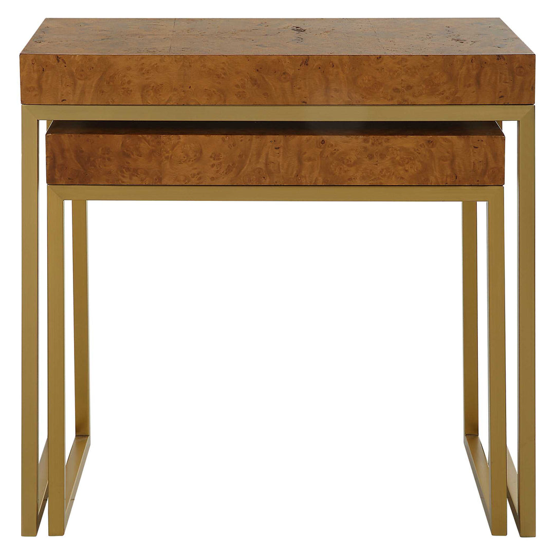 American Home Furniture Uttermost Burl-esque Wooden Nesting Tables Set of 2