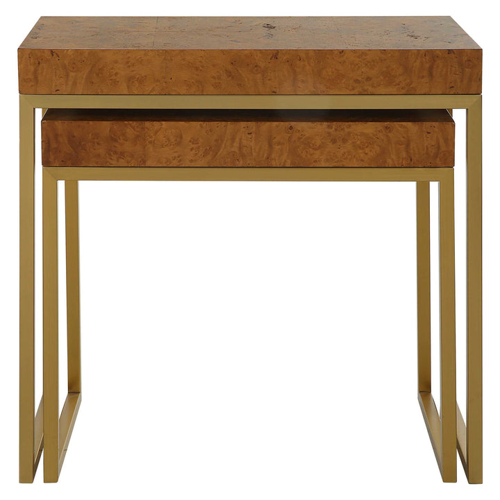 American Home Furniture Uttermost Burl-esque Wooden Nesting Tables Set of 2