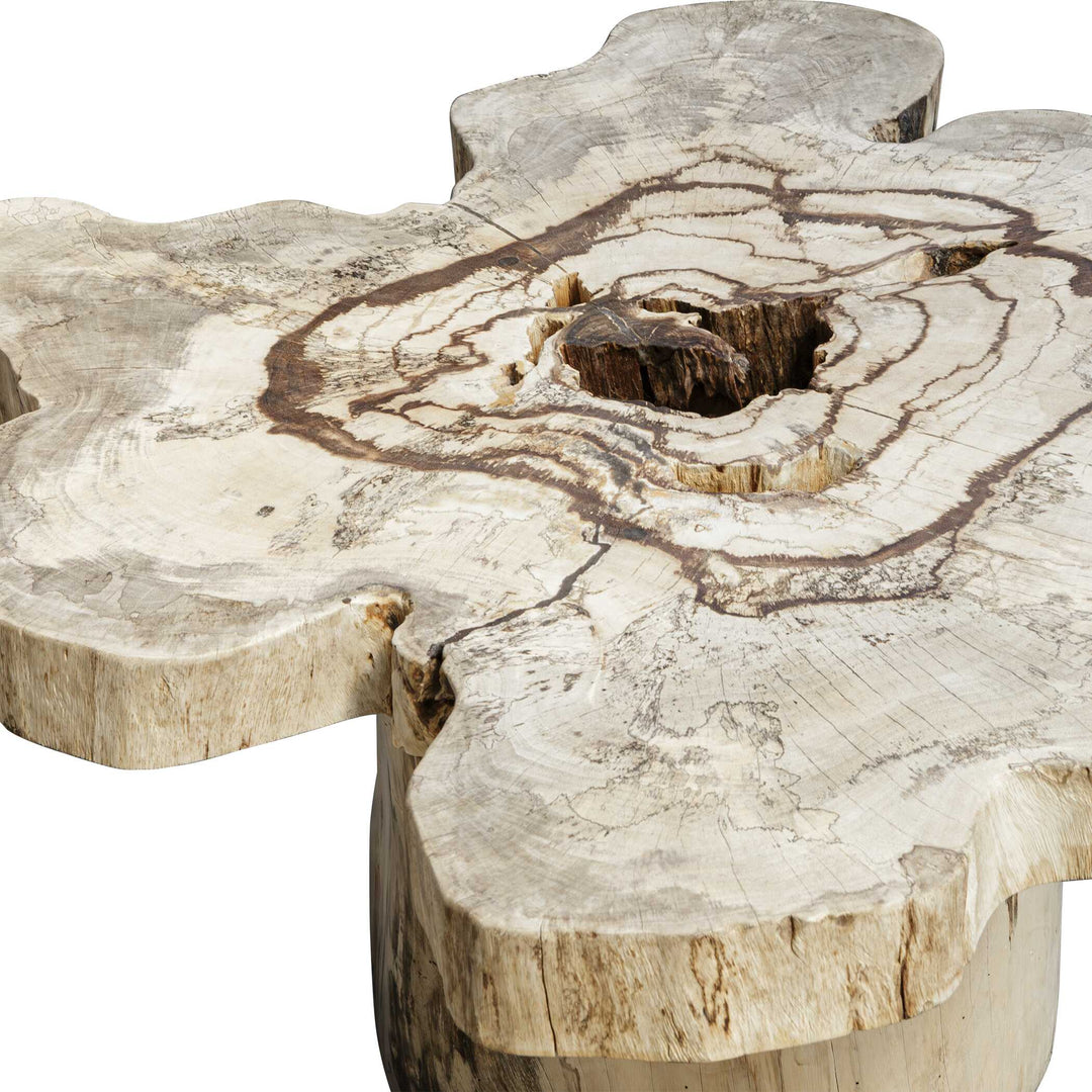 Anzalone Solid Wood Coffee Table