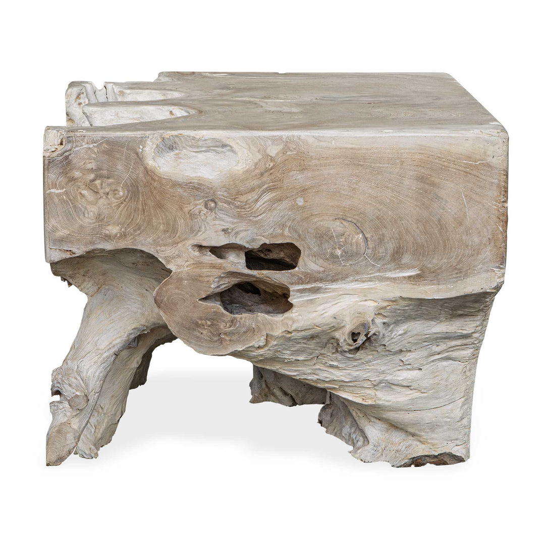 Deguara Indoor-Outdoor Coffee Table