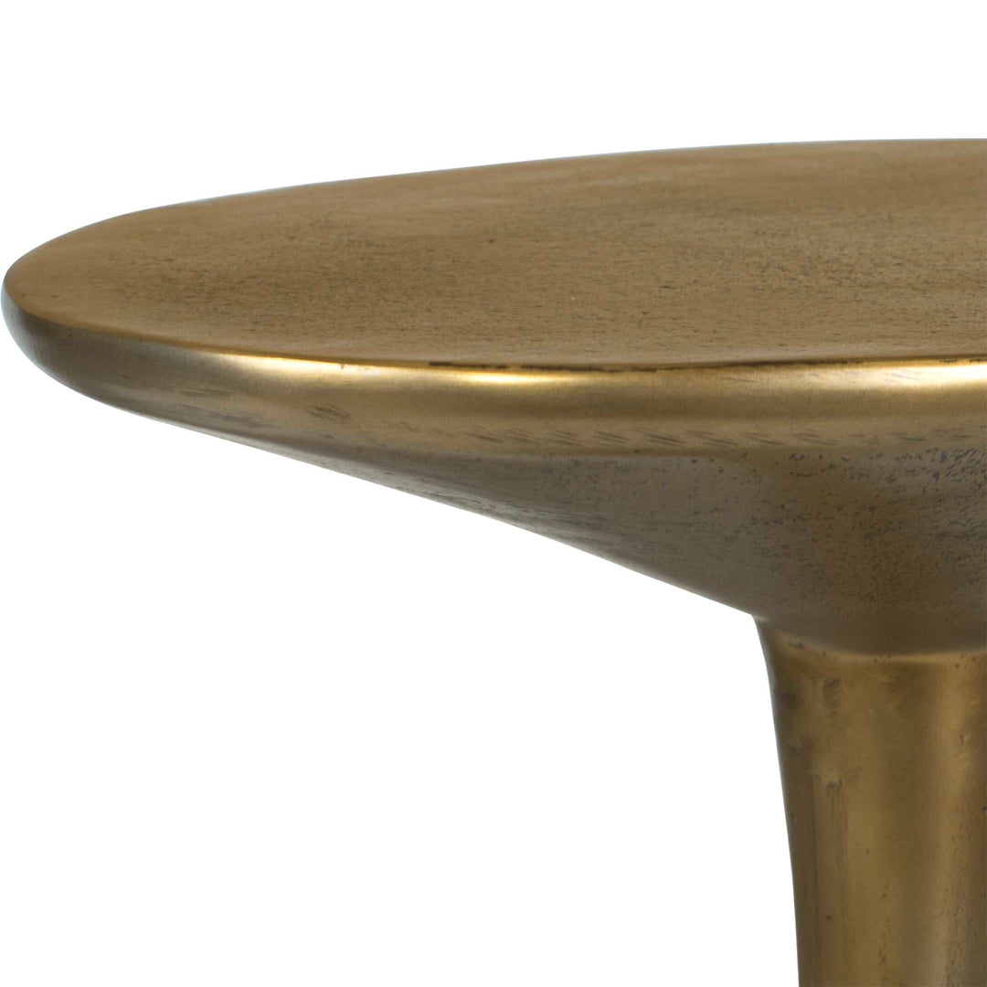 Tolstoy Indoor-Outdoor Accent Table