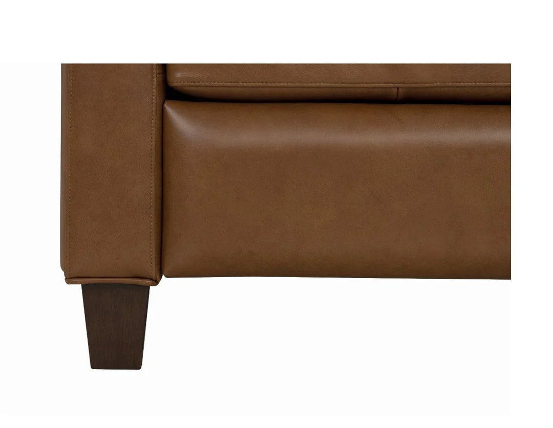 Fairview Push Thru The Arms Recliner