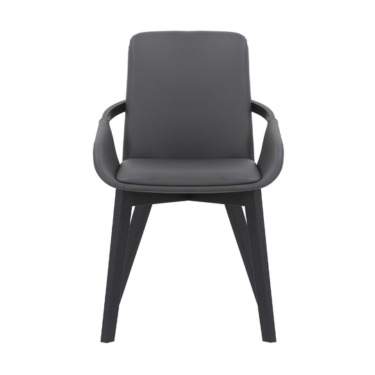 American Home Furniture Armen Living Greisen Dining Chair Set of 2