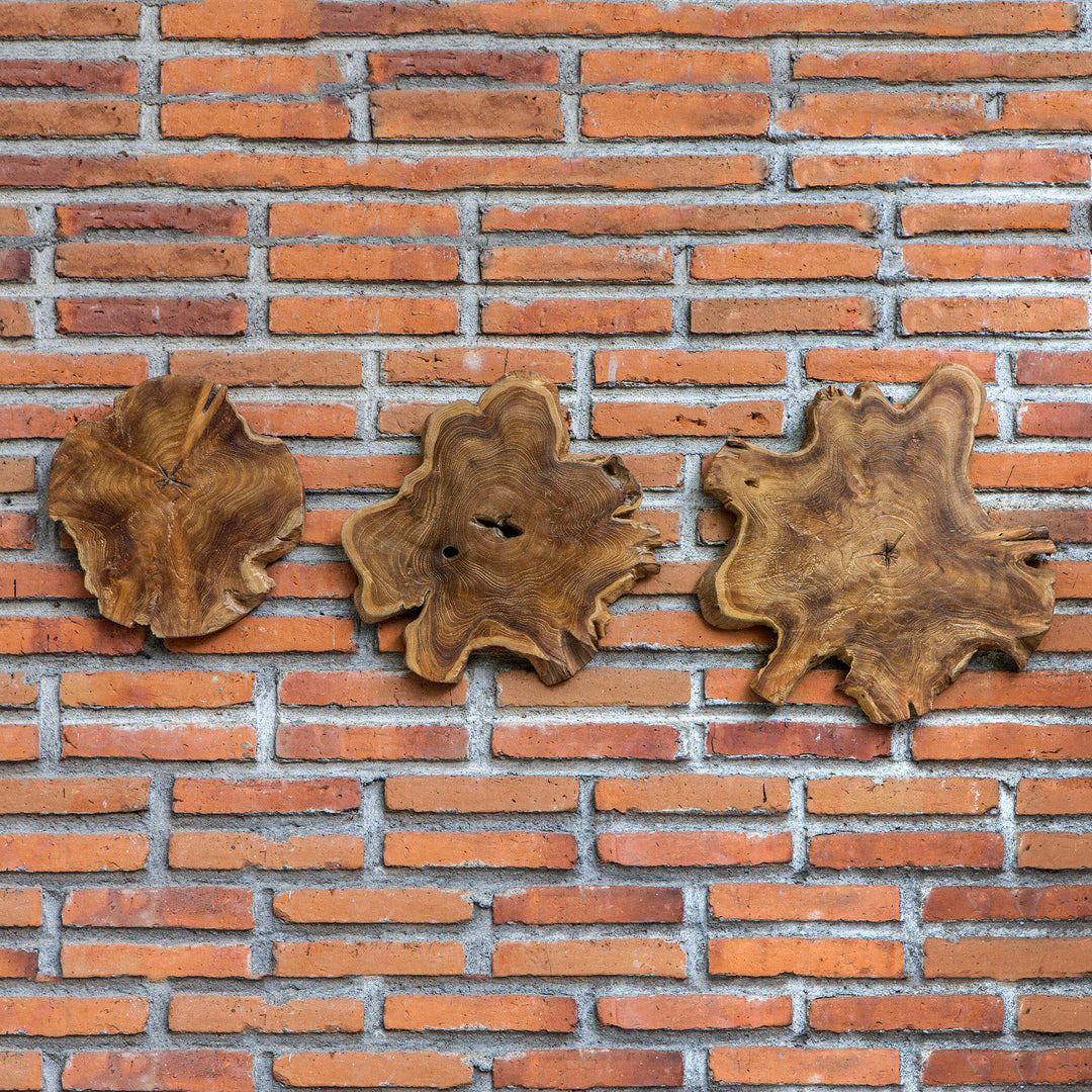 American Home Furniture Uttermost Kalani Teak Wall Art Set/3