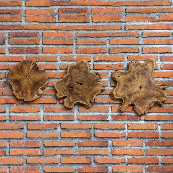 American Home Furniture Uttermost Kalani Teak Wall Art Set/3