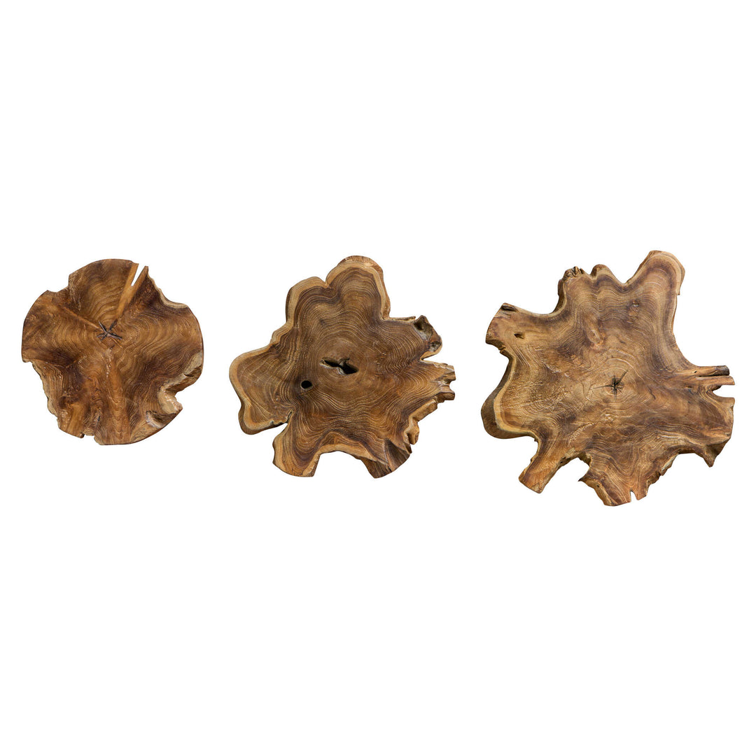 American Home Furniture Uttermost Kalani Teak Wall Art Set/3