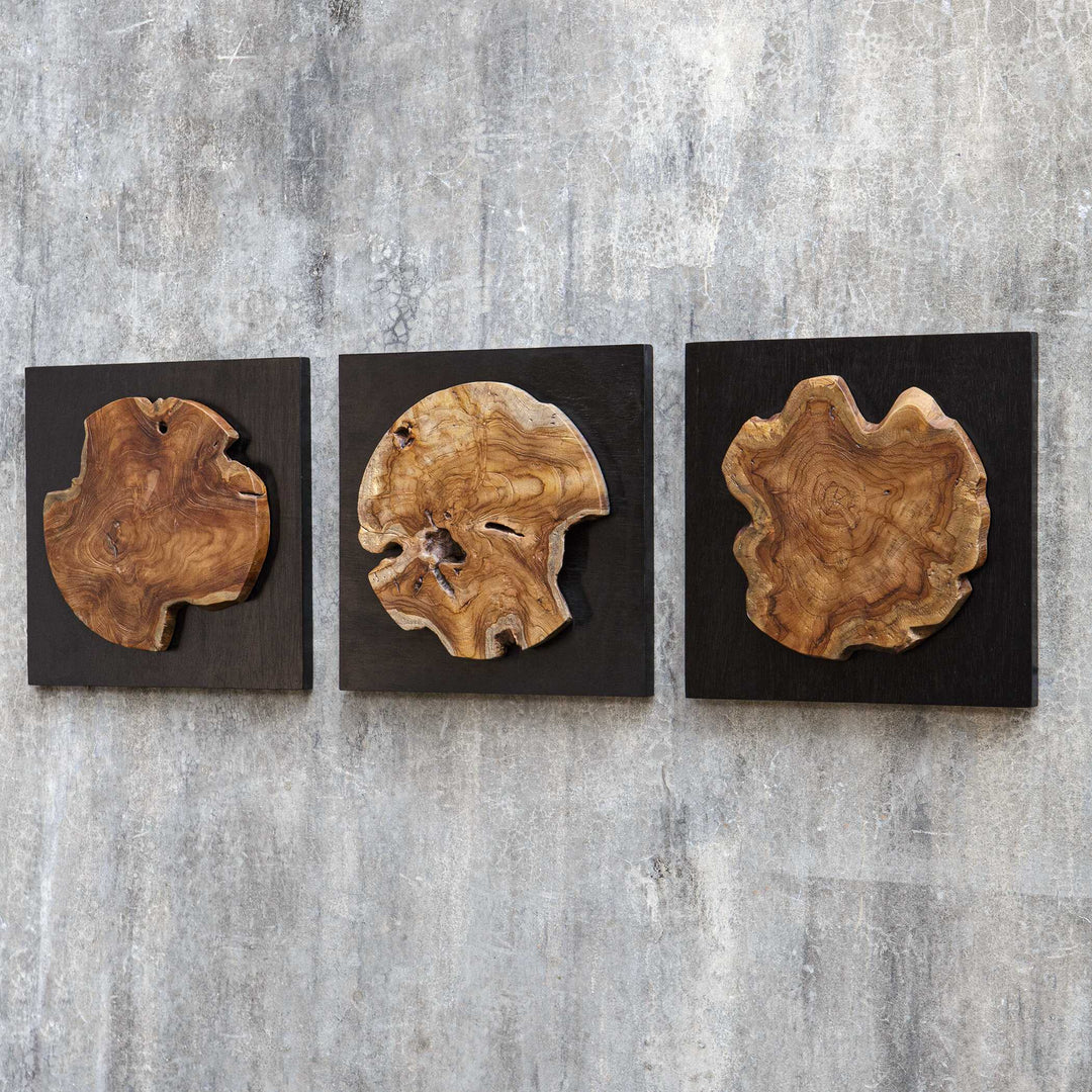 American Home Furniture Uttermost Kolini Teak Wood Wall Decor Set of 3