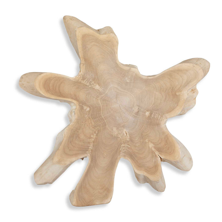 American Home Furniture Uttermost Terrains Natural Wood Wall Decor