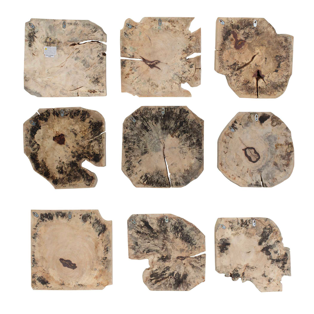 Bahati Wood Bleached Wall Decor Set of 9