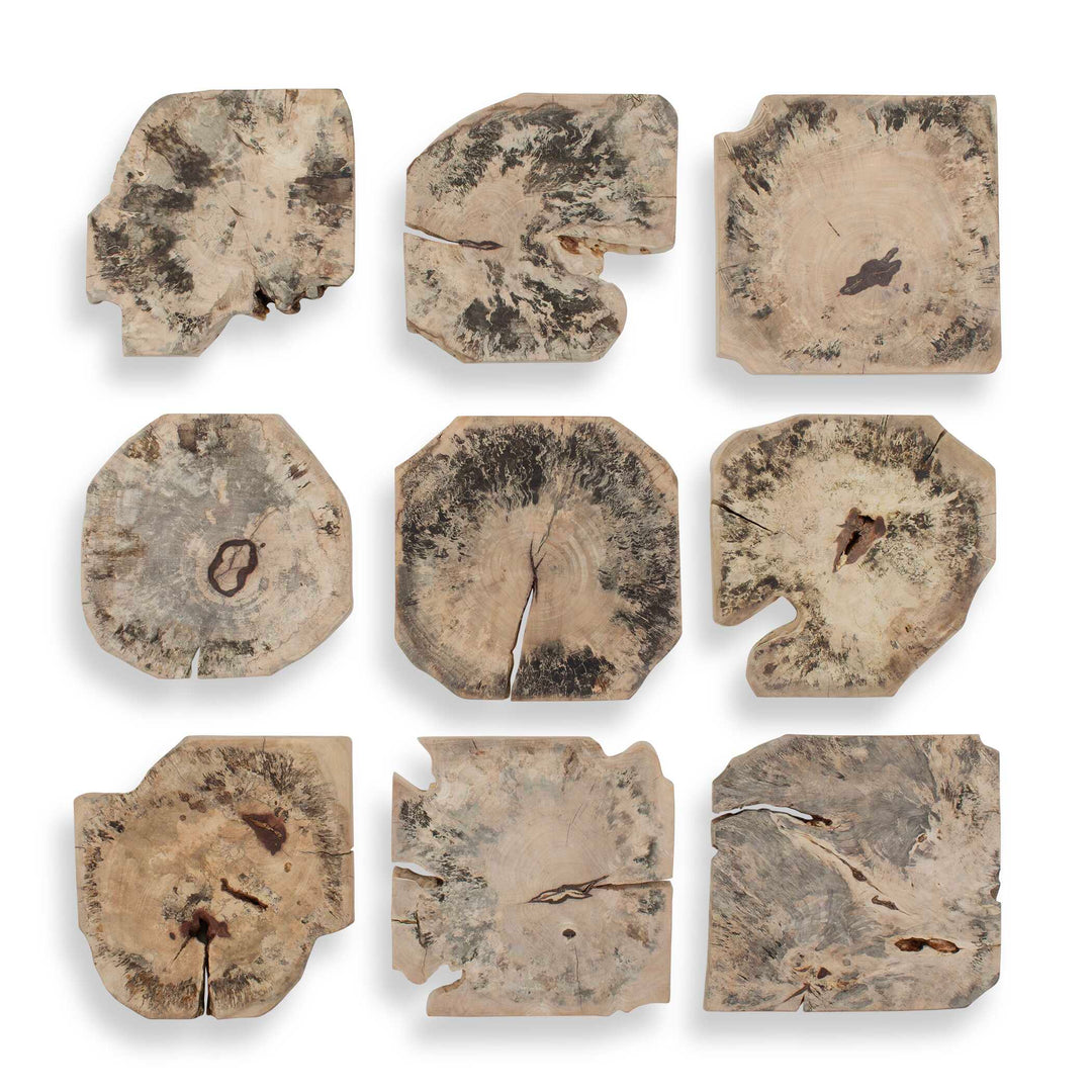 Bahati Wood Bleached Wall Decor Set of 9
